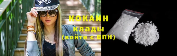 гашик Верея