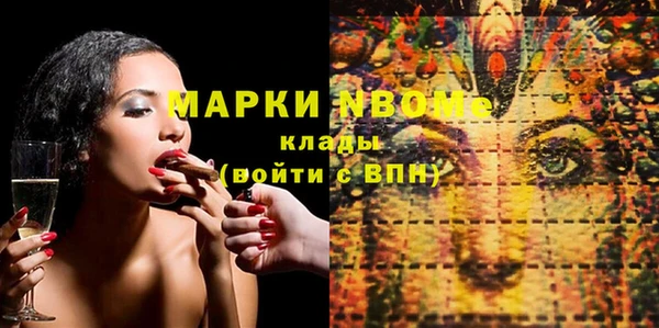 гашик Верея