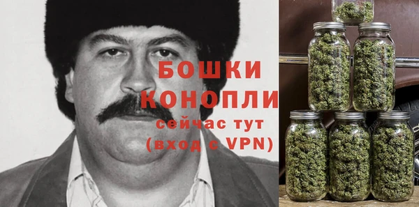 гашик Верея