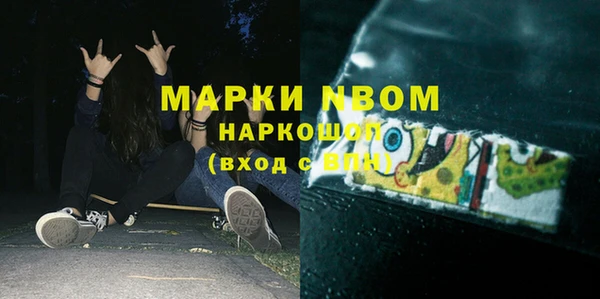 гашик Верея
