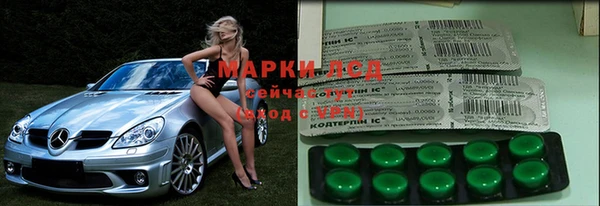 гашик Верея