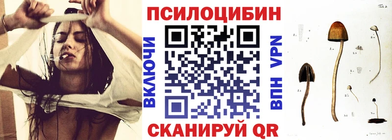 Галлюциногенные грибы GOLDEN TEACHER где купить наркоту Невель